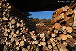 Ref. 0081  Stock de bois en pr�vision de l'hiver - Haute-Savoie. Disponible en 30x45 et 50x75