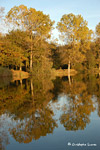 Ref. 8805  Reflets d'automne en Haute-Savoie. Disponible en 45x30 et 75x50