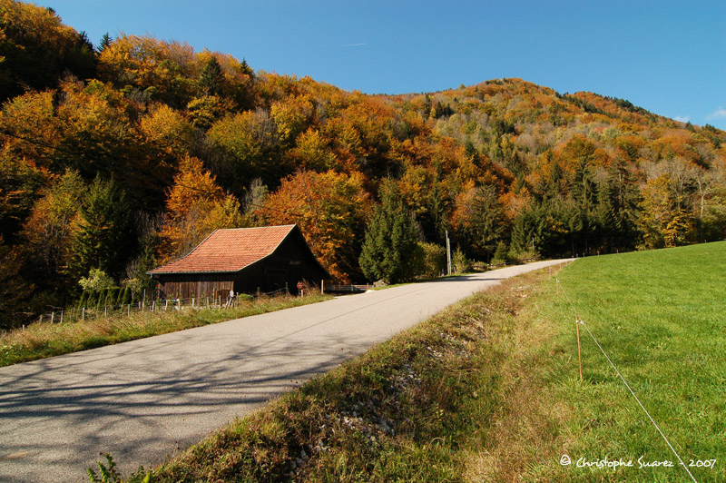 Automne 2007 - Christophe Suarez - Photo 13