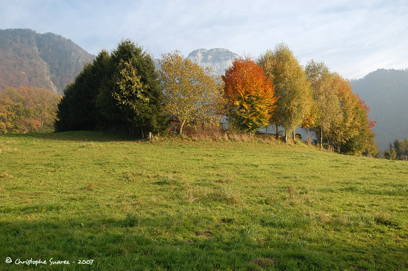 Automne 2007 - Christophe Suarez - Photo 4