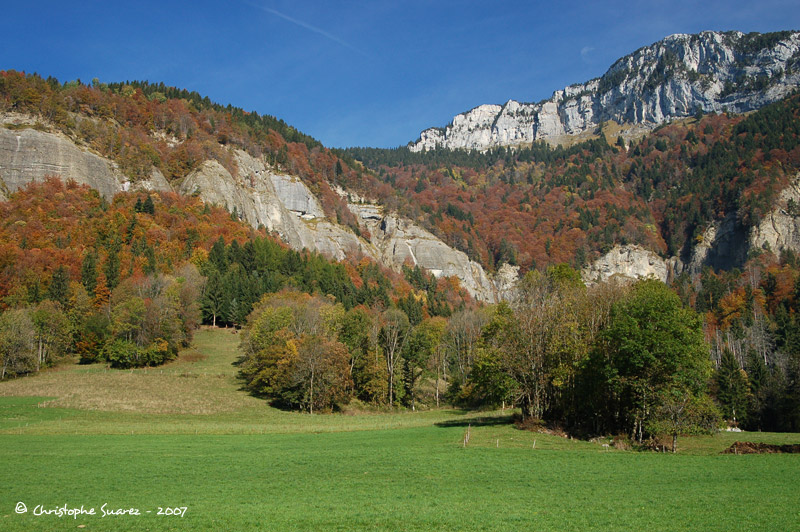 Automne 2007 - Christophe Suarez - Photo 2