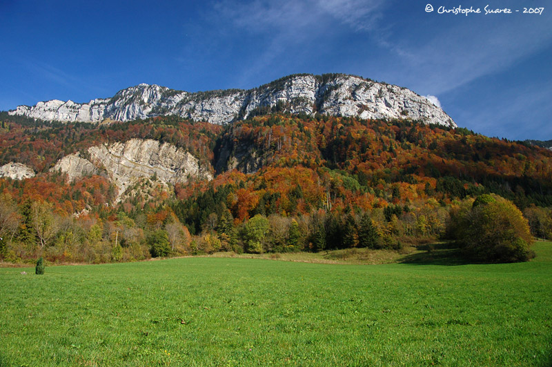 Automne 2007 - Christophe Suarez - Photo 1