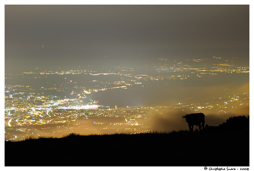 Paysage - Alpes - Genve la nuit vue du Mont salve (74)