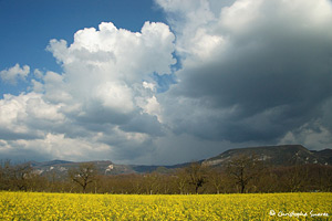 Ciels de printemps dans les Alpes et le Vercors - 2007