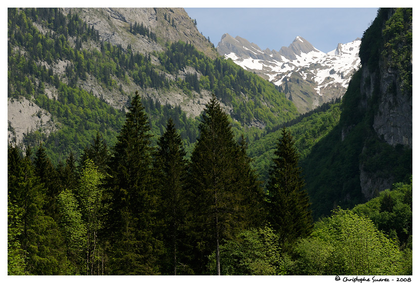 Paysage de montagne - Alpes - Haute-Savoie