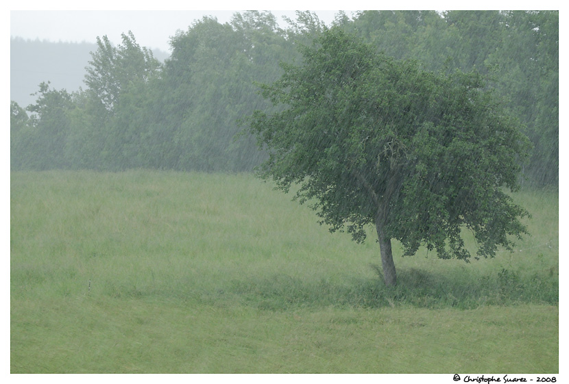 Paysage des Alpes - Pluie diluvienne lors d'un orage