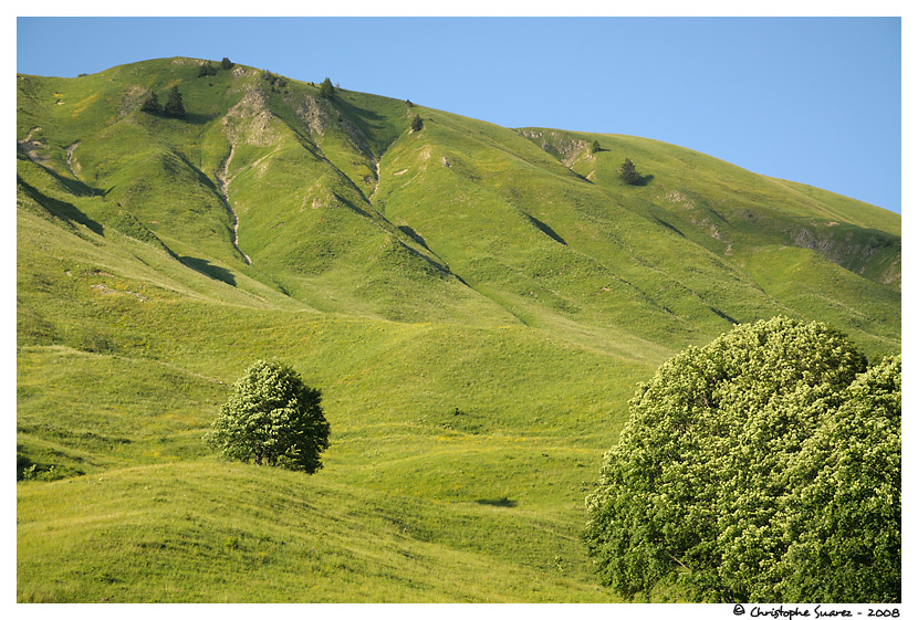 Paysage de montagne - Alpes - Haute-Savoie