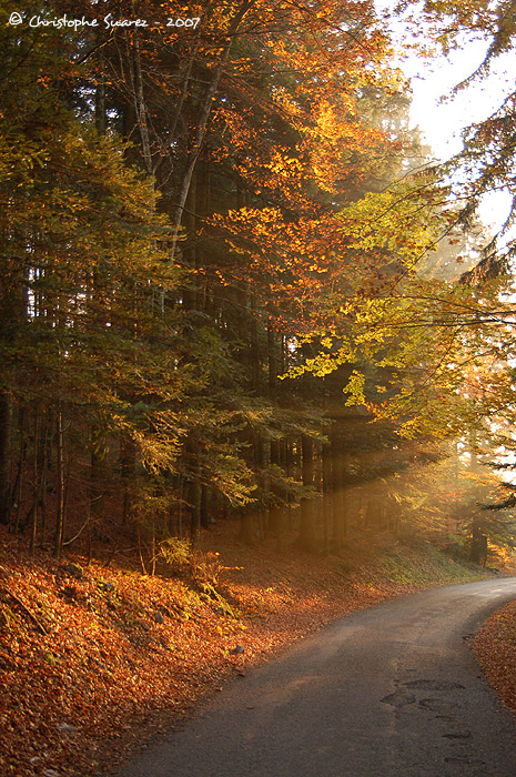 Automne 2007 - Christophe Suarez - Photo 10