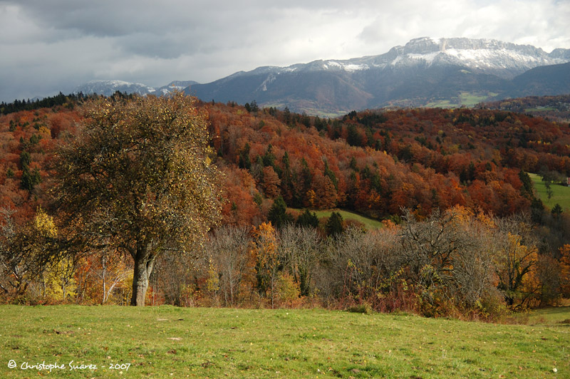 Automne 2007 - Christophe Suarez - Photo 17