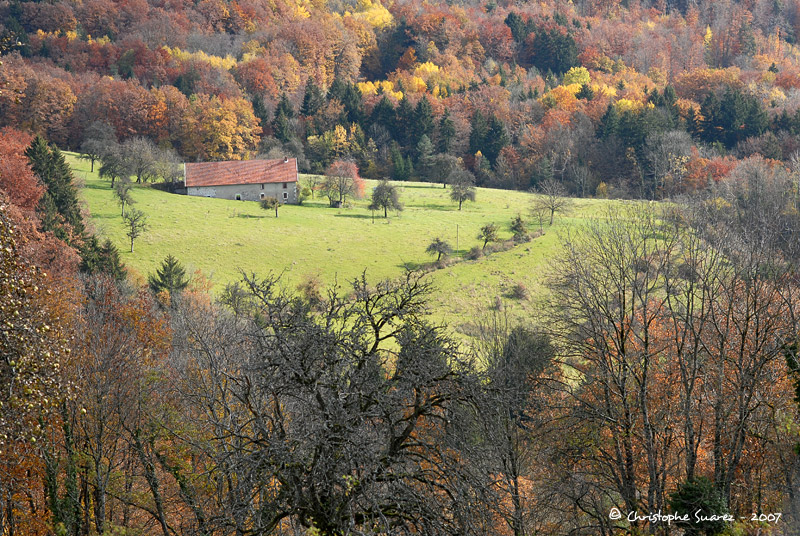 Automne 2007 - Christophe Suarez - Photo 15