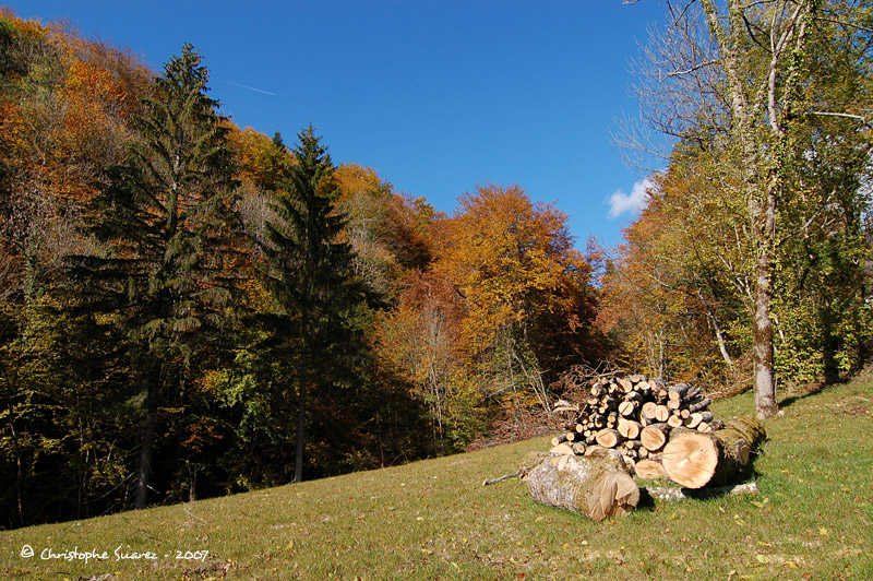 Automne 2007 - Christophe Suarez - Photo 11