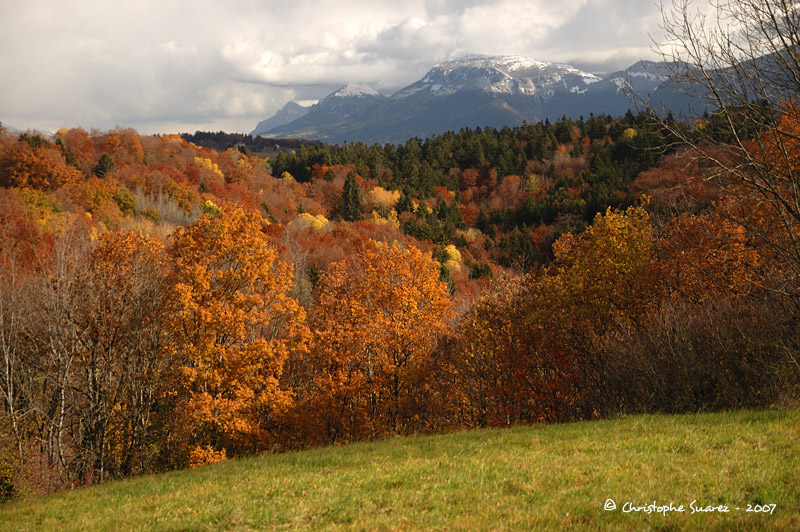 Automne 2007 - Christophe Suarez - Photo 9