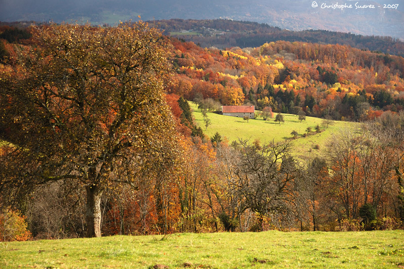 Automne 2007 - Christophe Suarez - Photo 8