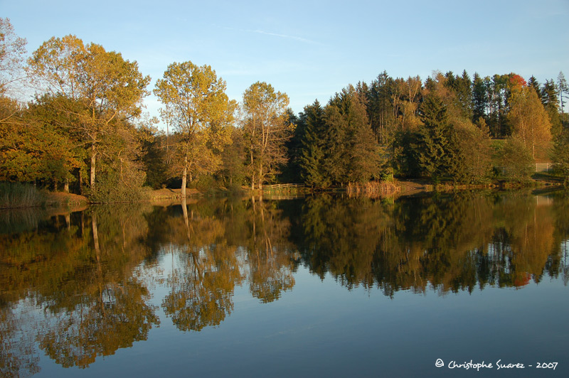 Automne 2007 - Christophe Suarez - Photo 6