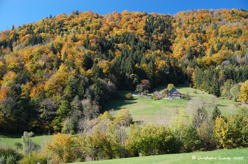 Automne 2007 - Christophe Suarez - Photo 5