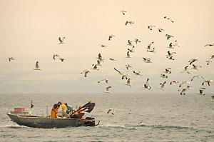 Photo animalière - été 2008