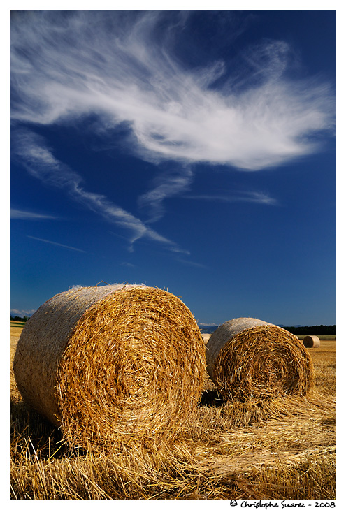 Paysage du pays de Gex - Jura