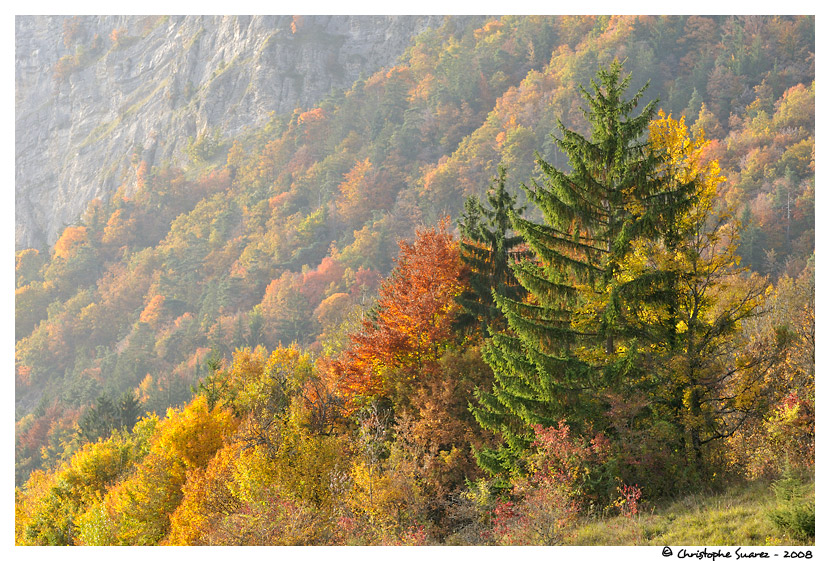 Paysage du Faucigny - Alpes - Haute-Savoie