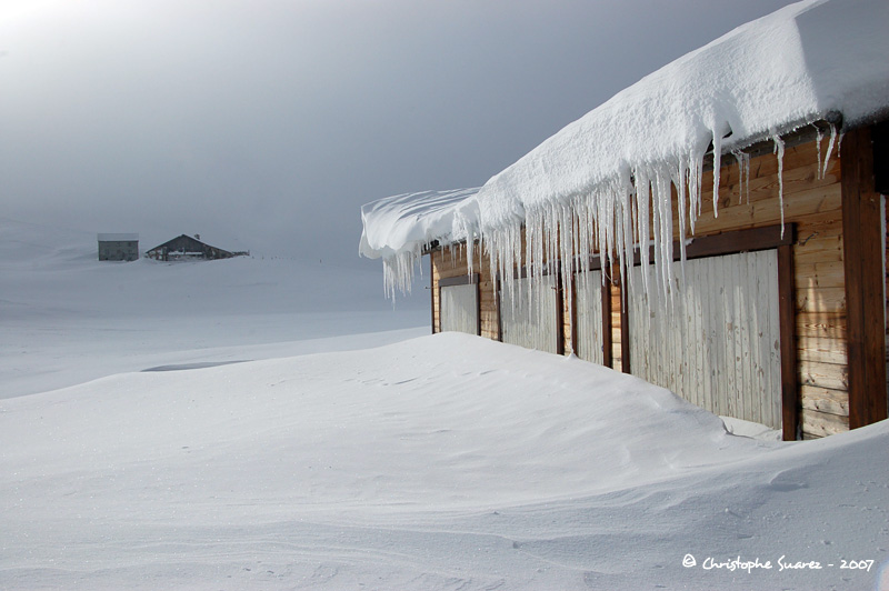 Neige dans les Aravis