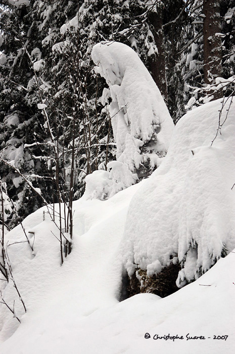 La Madone de neige