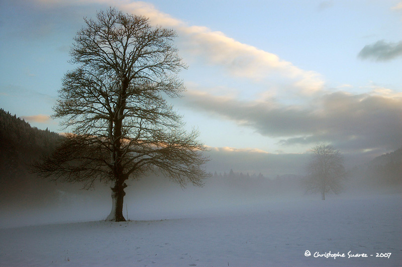 Brumes et neige et Haute-Savoie