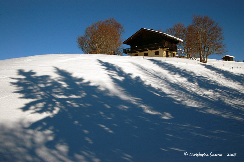 Neige dans le jura