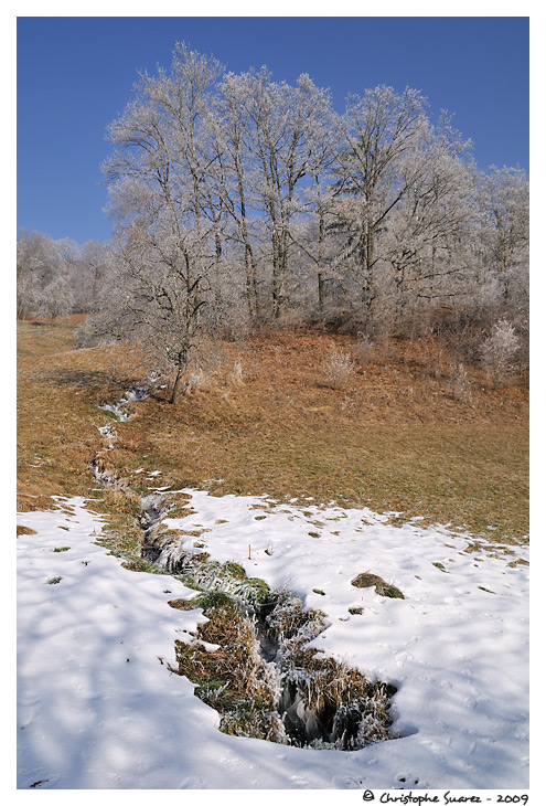 Paysage givr - Marignier (Haute-Savoie)