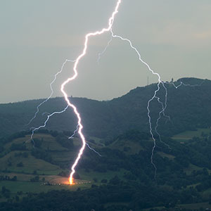 foudre sur un arbre en Savoie, vue rapproche