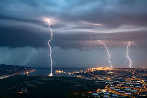 3 clairs ramifis sur Trieste