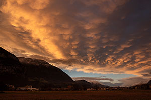 Altocumulus mammas